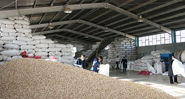 pistachio suppliers in iran