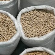 pistachio price per kg in india