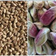 pistachio suppliers in india