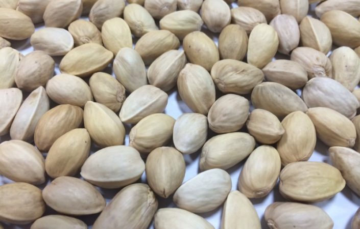 Closed Shell Pistachios