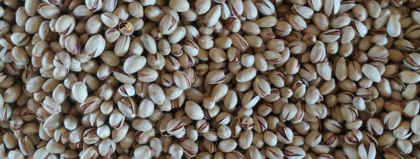 fandoghi pistachio exports to Germany