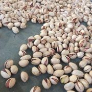 fandoghi pistachio price per kilo