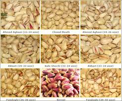 iran pistachio export company