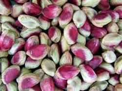 kalleh ghuchi (Jumbo) pistachio kernels price per kg