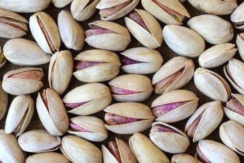 pistachio export price