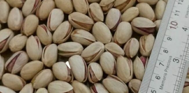 pistachio nuts buy online