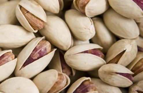 pistachio price CIF Shanghai bags packing by LC payment