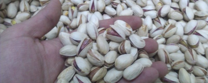 pistachio price bulk barn