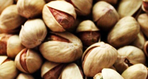 pistachio wholesale price in iran