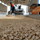 pistachio price CIF Singapore bags packing LC payment