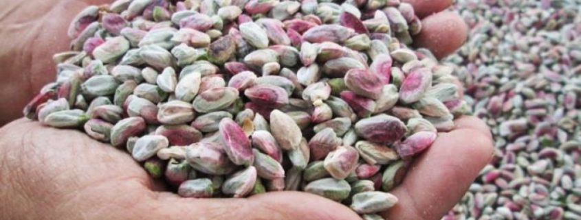 organic pistachio suppliers