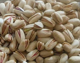 Akbari pistachio wholesale prices in iran