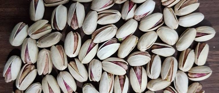 In shell pistachio wholesale prices in iran