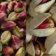 Iran pistachio import export statistics