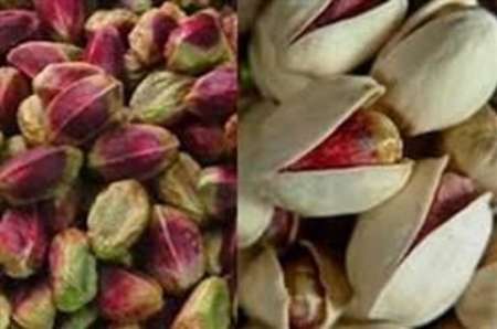 Iran pistachio import export statistics - TGD Pistachio Co (Anata Nuts Co.)