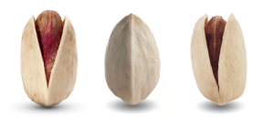 pistachio seeds for sale