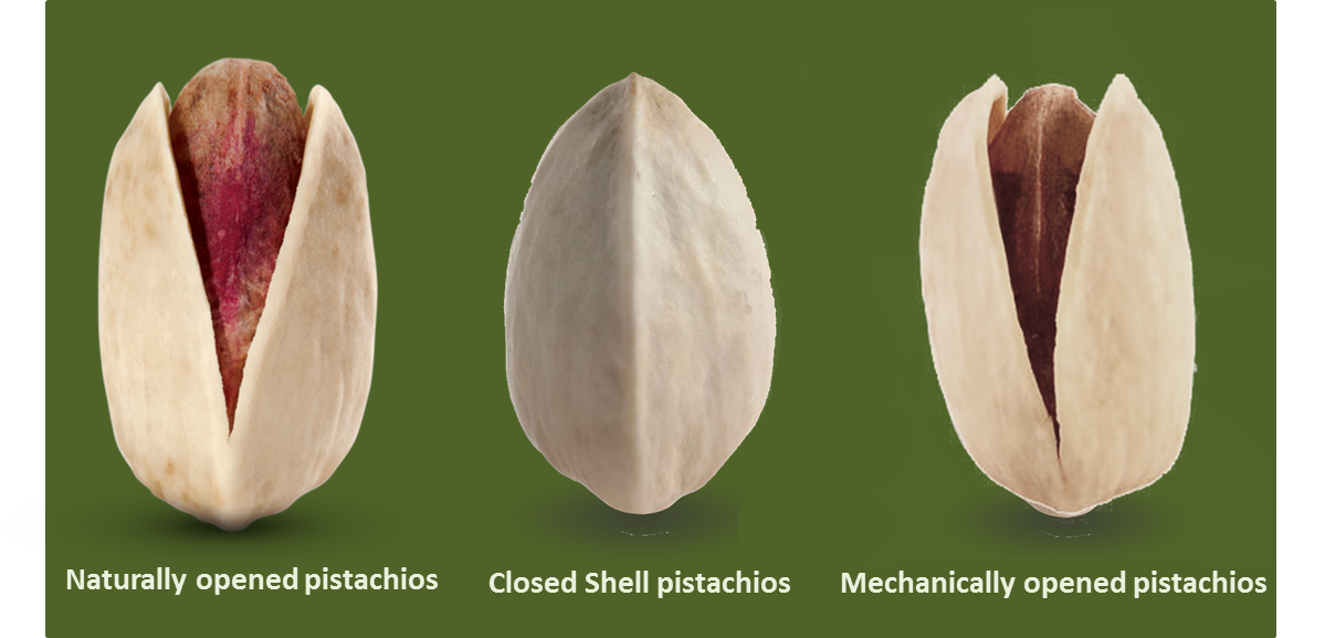 is it ok to eat a closed pistachio