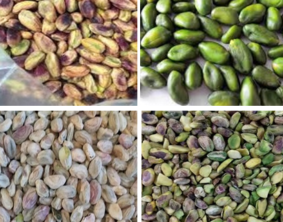 bulk pistachio kernels price