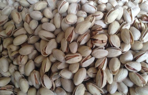 cheap bulk pistachio nuts sale