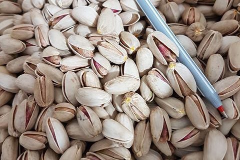 pistachio nuts wholesale price