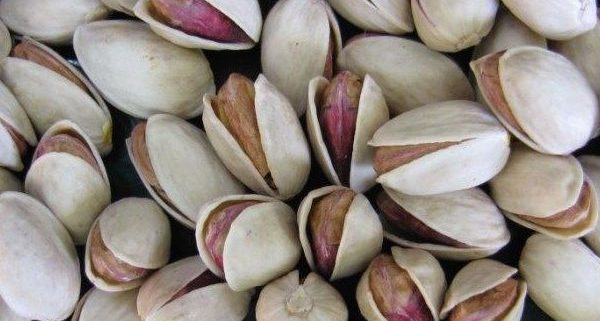 iranian pistachio buy online