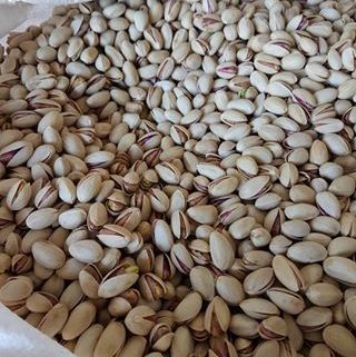 pistachio buy online india