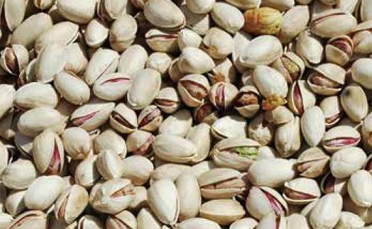 organic raw pistachios in shell