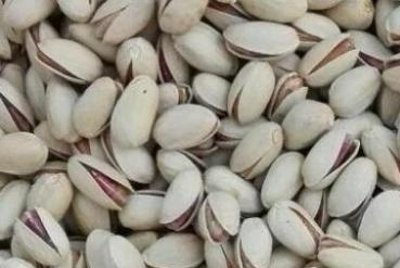 pistachio price in qatar