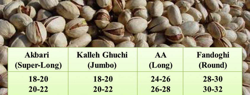 bulk Persian pistachio wholesalers