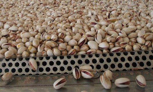 iran pistachio export company