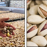 pistachio nuts price per pound