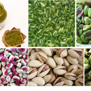 pistachio seeds for sale in bulk