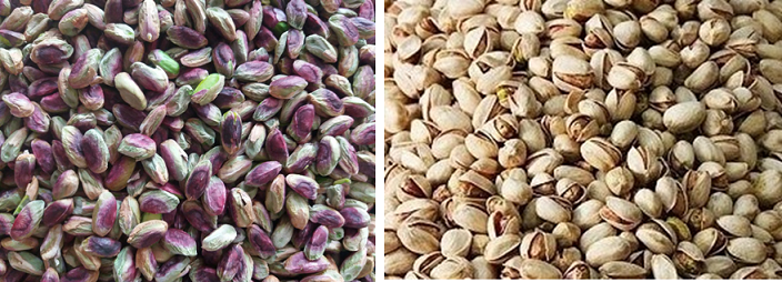 buy iranian pistachio nuts