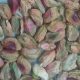 pistachio kernels price for baklava