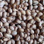 pistachio seeds for sale australia