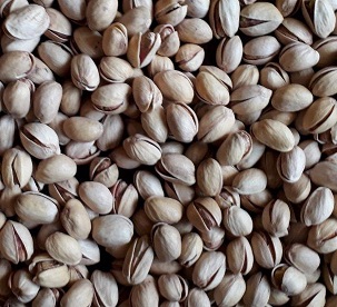 pistachio seeds for sale australia