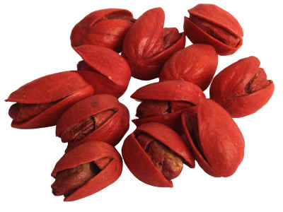 red pistachios for sale