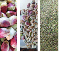Buy pistachio kernels from iran