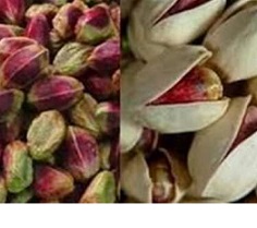 Iran pistachio export statistics