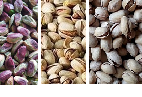 Iran pistachio wholesale price