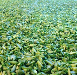Persian slivered pistachios suppliers