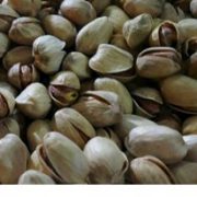 best quality iranian pistachio for sale