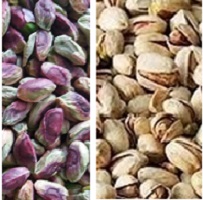bulk buy persian pistachios