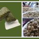 bulk buy pistachios from iran