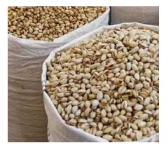 buy pistachios in bulk with big packing