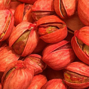 buy red pistachio nuts
