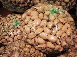 iran pistachio bulk sales