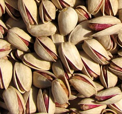 iran pistachio producer