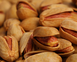 iranian lemon pistachios suppliers