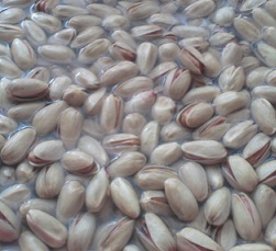 iranian salted pistachios